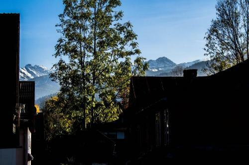 Villa Willa Vera Zakopane