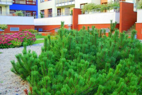 Jantar Apartamenty- Zielone Tarasy