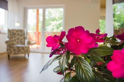 Apartamenty Gosciejow