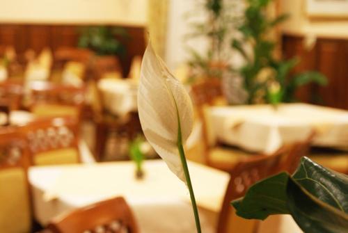 Hotel Wilga By Katowice Airport