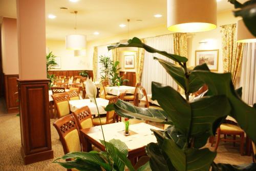 Hotel Wilga By Katowice Airport
