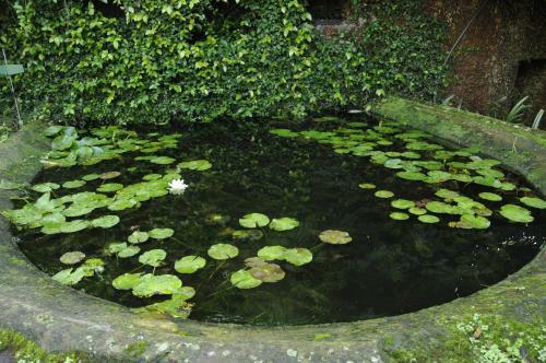 Hostal Villa - Quinta De Santa Luzia