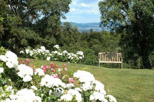 Villa Tenuta Di Seripa