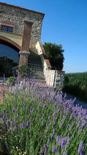 Villa Tenuta Di Seripa