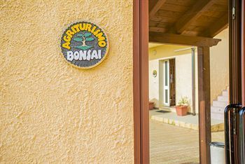 Bed & Breakfast Bonsai