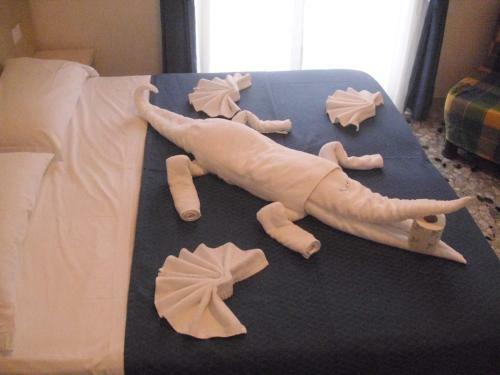 Hotel Caribe