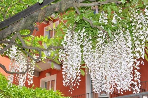 Hotel Moderno