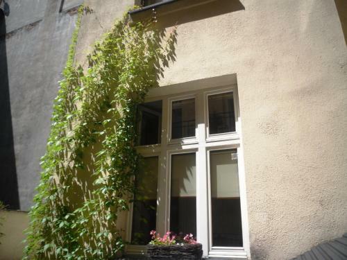 Apartament Berko