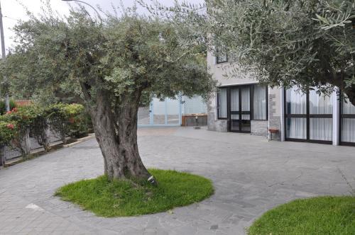 Hotel Lachea