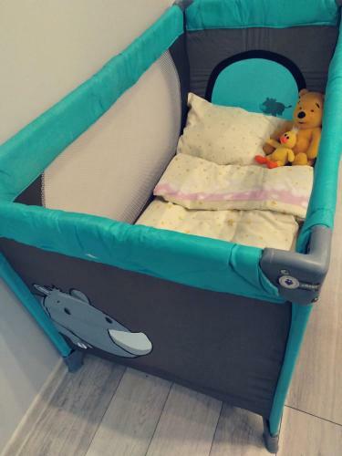 Apartamenty Copernicus