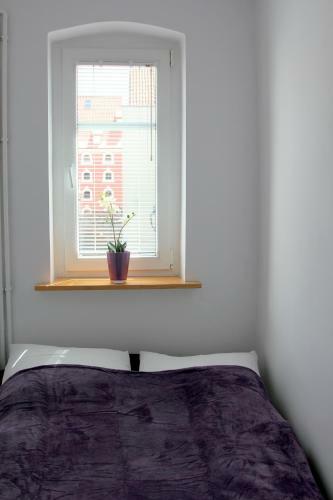 Apartamenty Copernicus