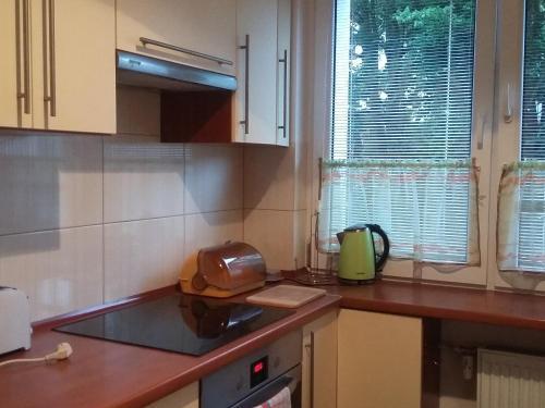 Apartament Chopina