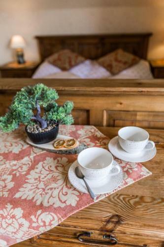Hostal Willa Cetynka