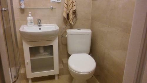Apartament Konopnicka