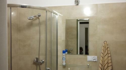 Apartament Konopnicka