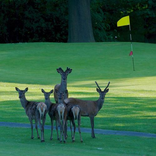 Agroturismo Shrigley Hall Hotel