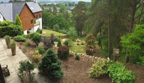Bed & Breakfast Treetops