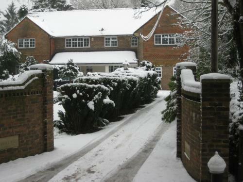 Hostal Tanglewood Guest House