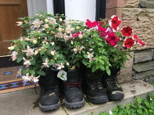 Hostal Ivy Bank