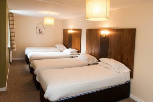 Bed & Breakfast Ardross Glencairn