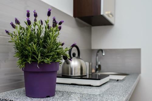 Apartamenty Wodna 12