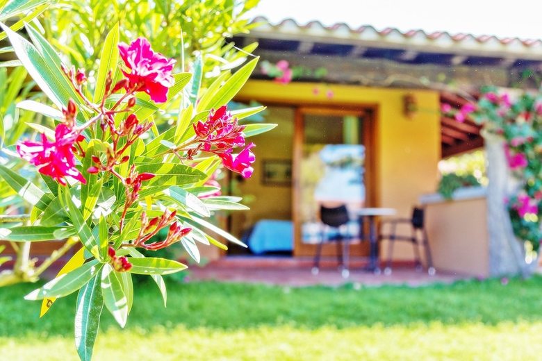 Hotel Club Saraceno