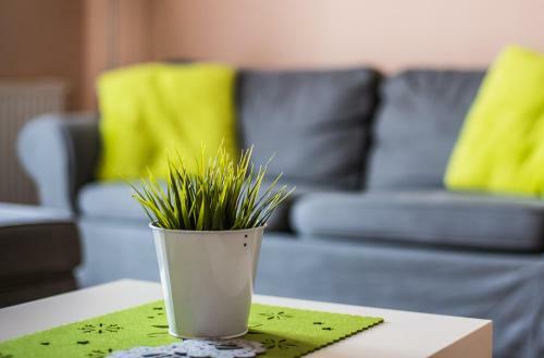 Apartament Zwyci?stwa
