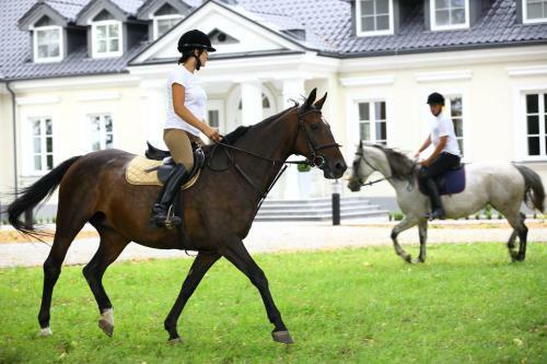 Hotel Przy Dworze Spa & Wellness