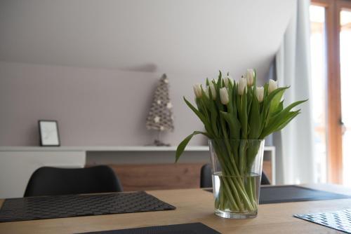 Apartament Guba?�wka