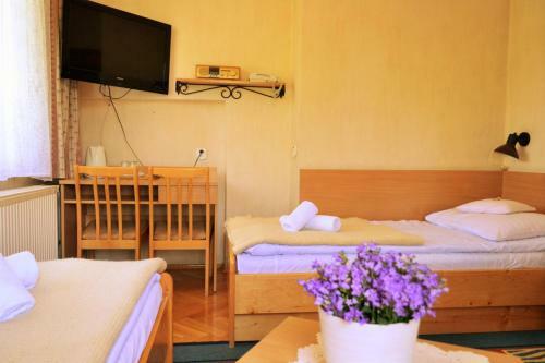 Hostal O?rodek Wczasowy Wanta