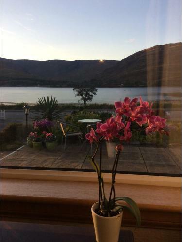 Agroturismo Hillview Guest House