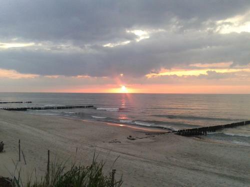 Apartament Scandynawski