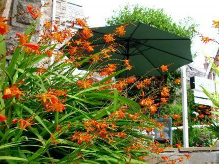 Bed & Breakfast Estoril