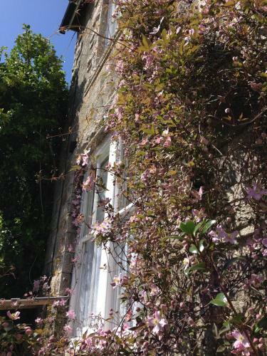 Bed & Breakfast Estoril