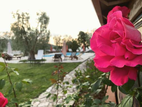 Bed & Breakfast Parco Dei Limoni