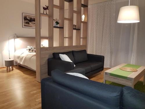 Apartm�n 315 ?pindler?v Ml�n