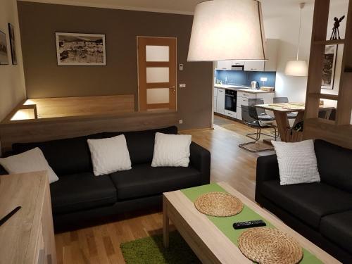 Apartm�n 315 ?pindler?v Ml�n
