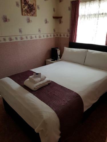 Hostal Tusker Lodge - Adults Only