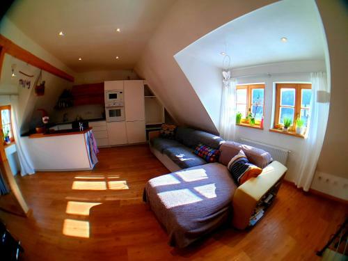 Hostal Penzion Quest