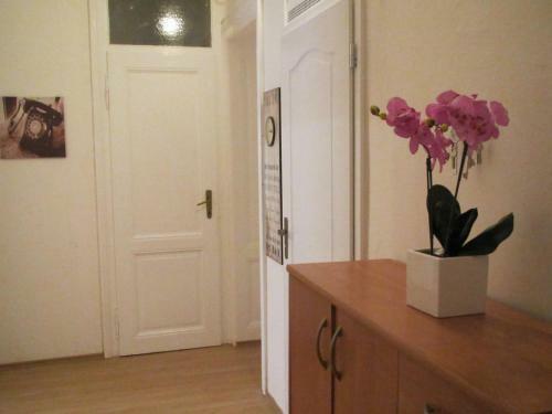 Apartment Fairy Tale