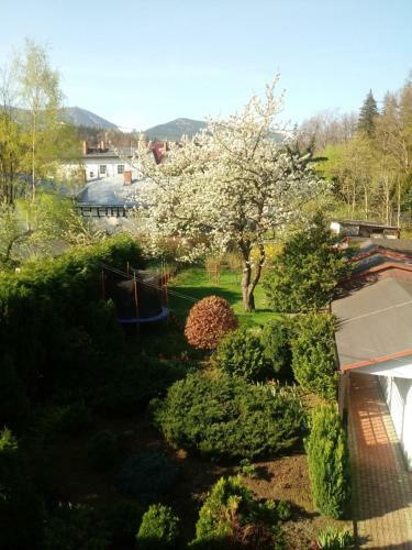 Apartamentvanessa