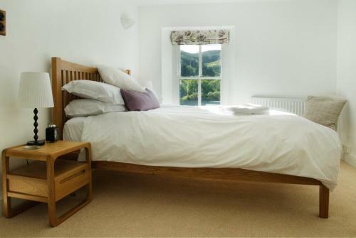 Bronfelin & Troed-y-rhiw Holiday Cottage