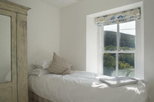 Bronfelin & Troed-y-rhiw Holiday Cottage