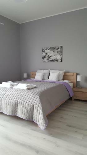 Magnolia Apartamenty