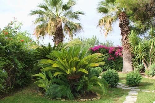 Hotel L'isola Che Non C'� - Apartments