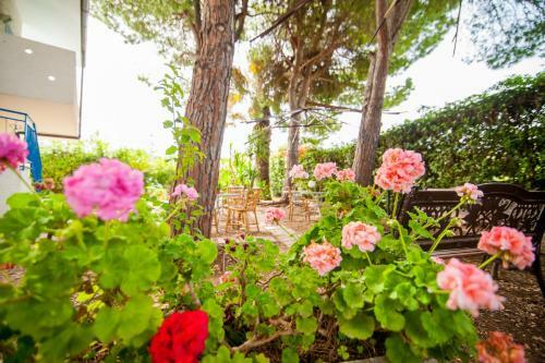Hotel L'isola Che Non C'� - Apartments