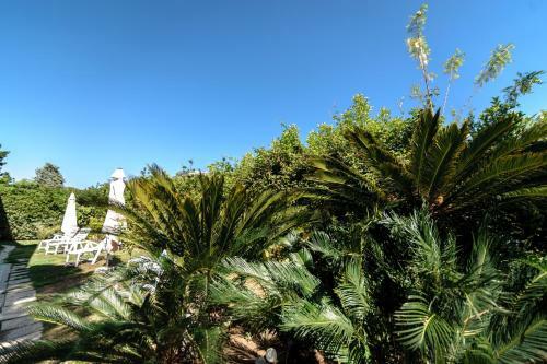 Hotel L'isola Che Non C'� - Apartments