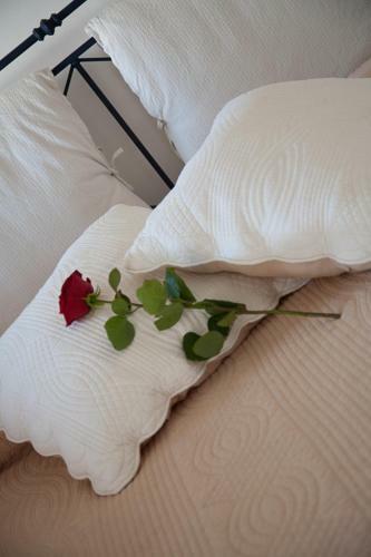 Sant'angelo 42 - Bed & Breakfast