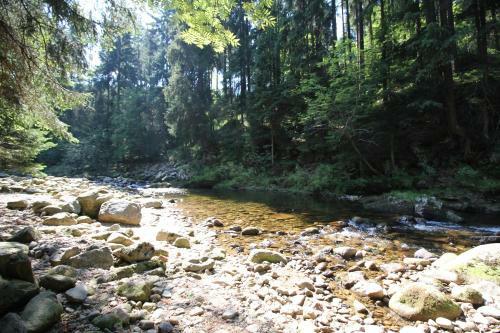 Pension & Chalet Sch�fer