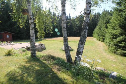Pension & Chalet Sch�fer